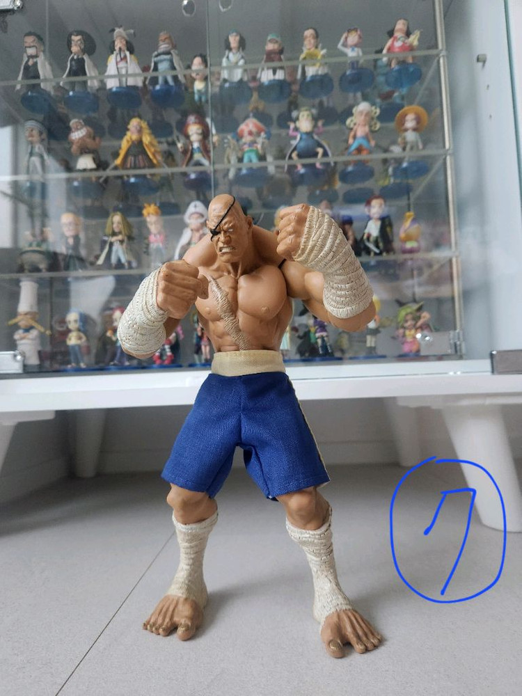 원피스/소타스트리트파이터/스타크래프트(피규어) 이미지