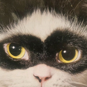 중고 경비실 컨테이너 물탱크 판넬.. 무었이든 매입 판매 이미지