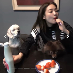 제니착용!! 아디다스 X Danielle Cathari 레어 져지 xs