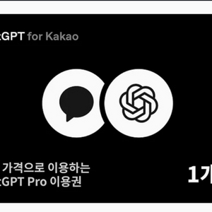ChatGPT Pro 1개월 이용권 (프로 버전)