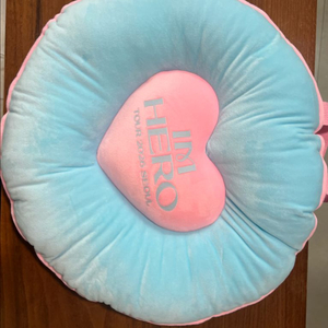 임영웅 콘서트 방석