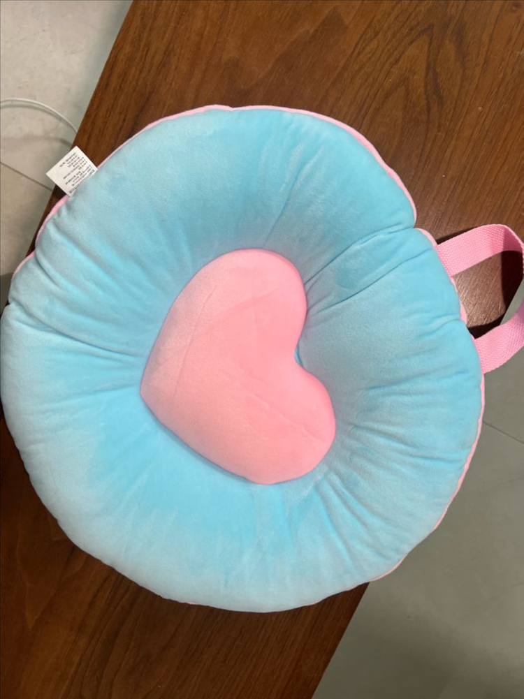 임영웅 콘서트 방석--1