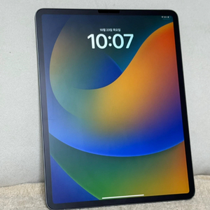 아이패드 프로 4세대 12.9 1테라 Wifi