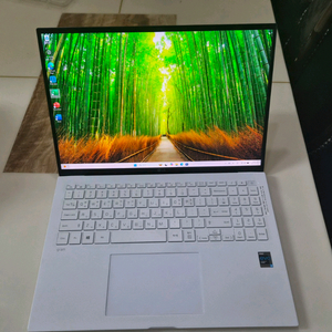 LG그램 노트북 16Z90P, i5 11세대, 16인치, 8G, 256G