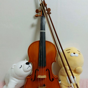 삼익 바네스 SVS-9000 4/4 바이올린 풀세트