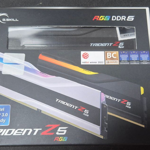 G.SKILL DDR5-6400 CL32 TRIDENT Z5 RGB J 팝니다. 이미지
