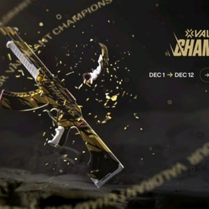 발로란트 2021 챔피언스 굿즈 삽니다 이미지