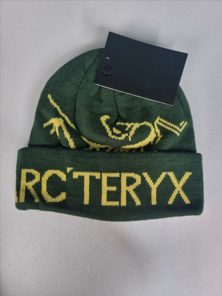 아크테릭스 비니. 버드워드토크--2