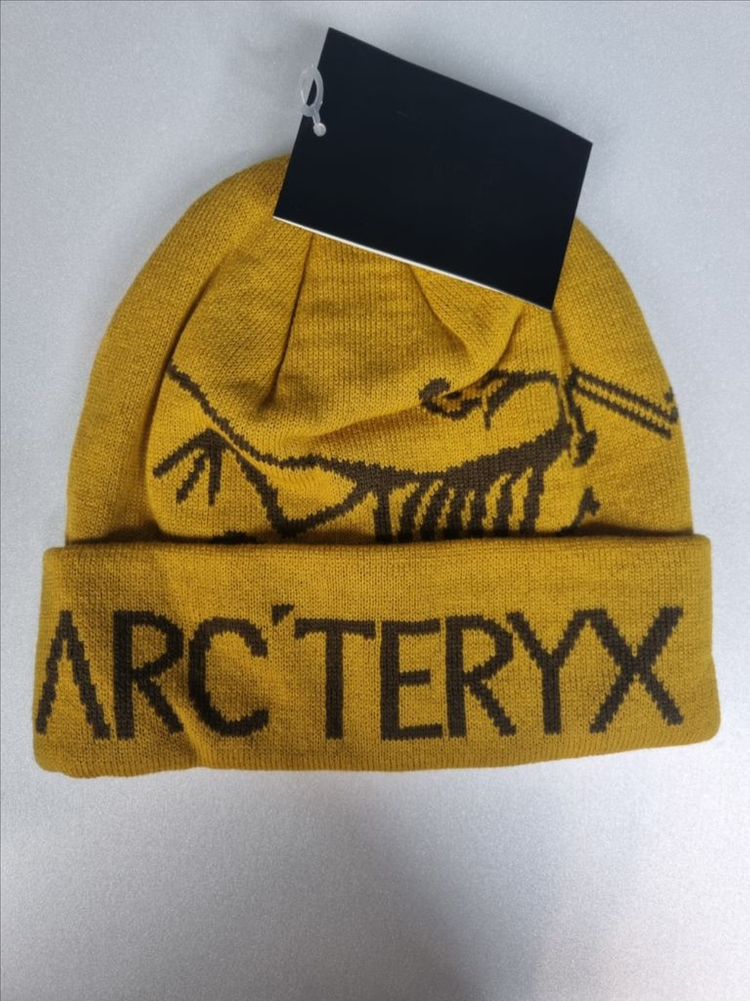 아크테릭스 비니. 버드워드토크--4