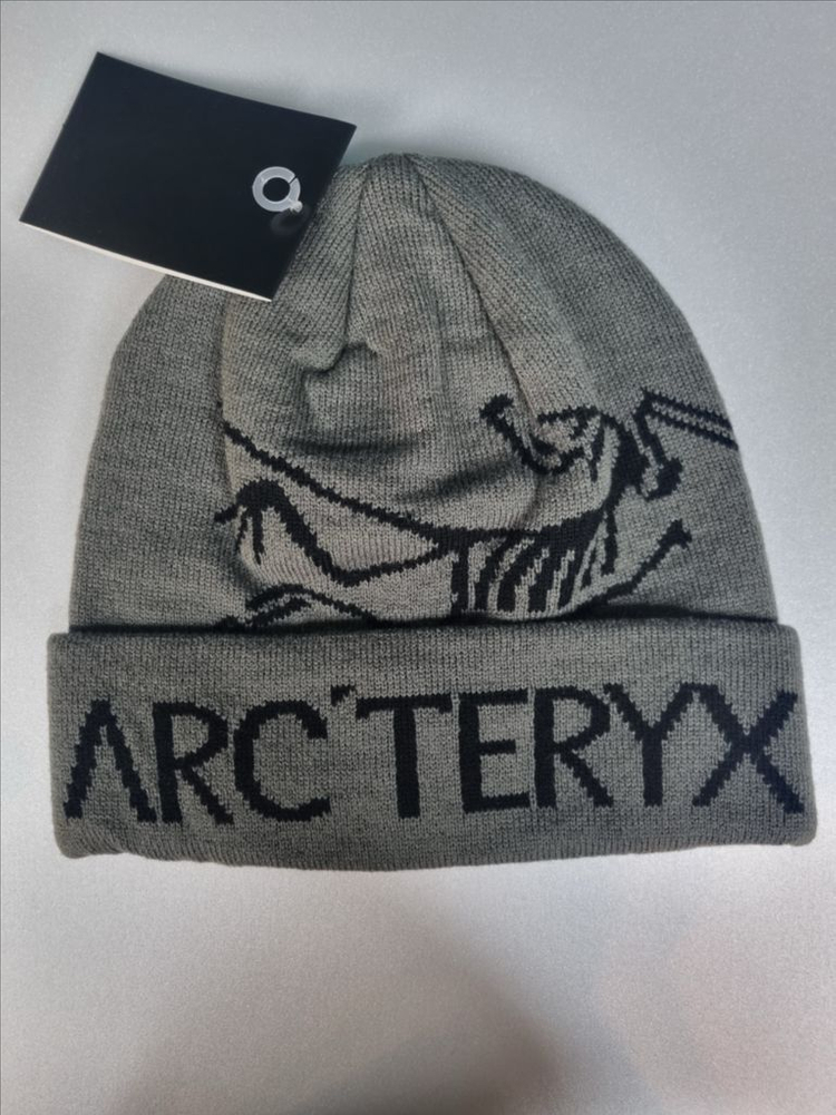 아크테릭스 비니. 버드워드토크--6