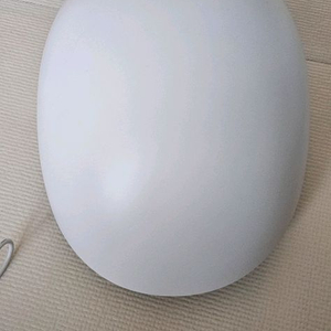 LG 프라엘 메디 헤어