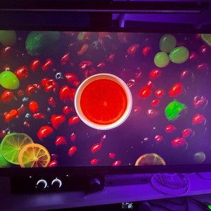 Asus Rog pg248qp 540hz 게이밍 모니터 판매