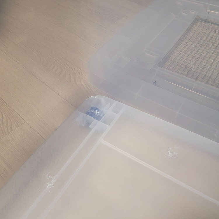 원주) 3만원 햄스터집 케이스 리빙120L--2