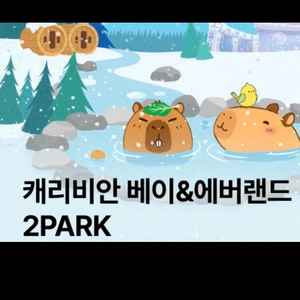 캐리비안베이(종일)+에버랜드(오후) 2월17일 타월포함