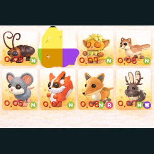 입양하세요 잡펫 ㅍㅍ 이미지