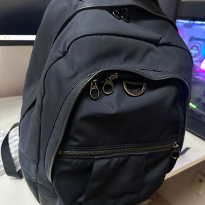 로로피아나 백팩