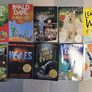 영어원서 25권 (엠아이 노블)