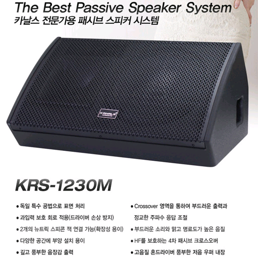 최고급 12인치모니터전용스피커 무대모니터스피커 고급형--1