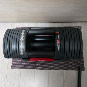 무게조절덤벨 8.5~40kg 한개