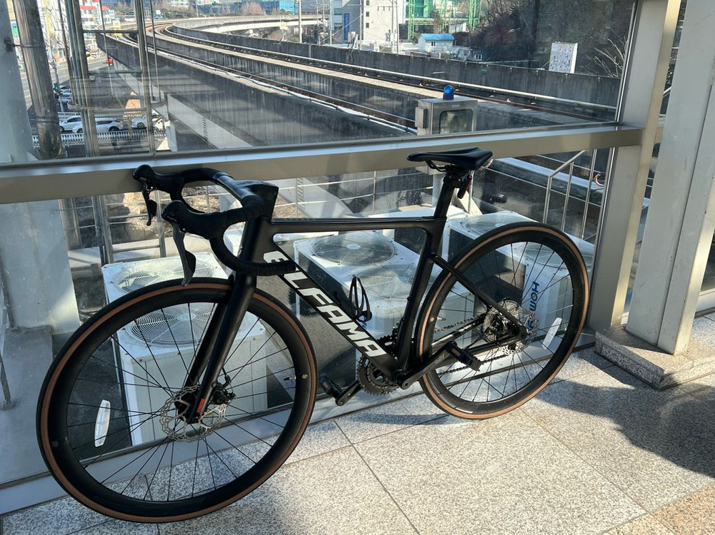 엘파마 로드너 2025년식 판매--1