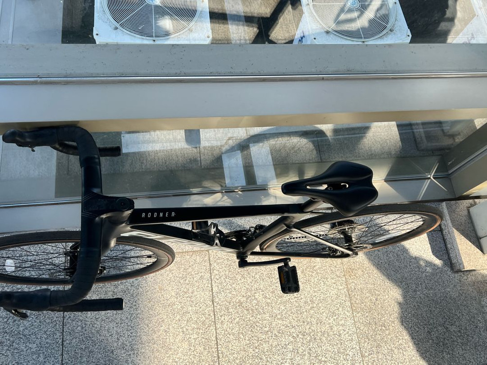 엘파마 로드너 2025년식 판매--2