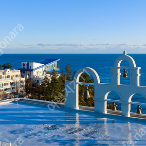 2/17일 쏠비치 삼척 리조트 패밀리 26만 양도 이미지