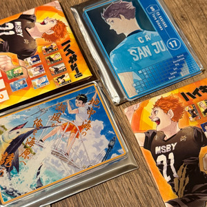 [미사용] 하이큐 스테이터스 카드 니시노야, 오이카와