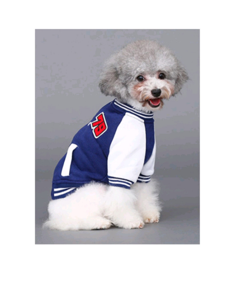 미사용 HOOPET 강아지 옷 79 야구 점퍼 L사이즈 블루, 블랙--4