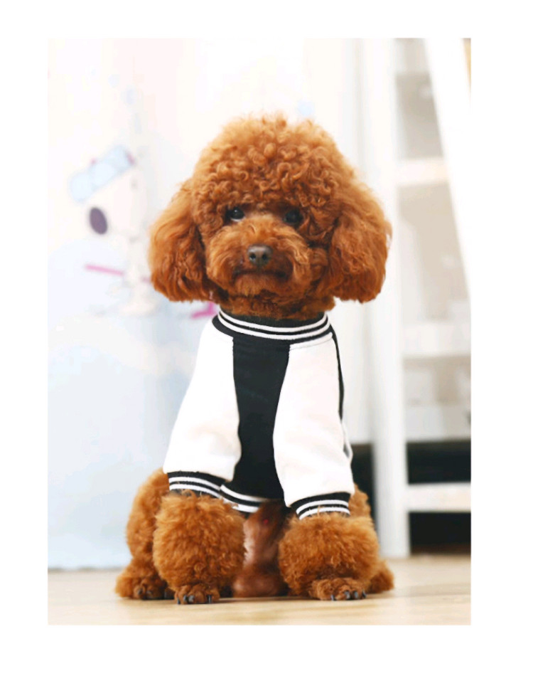 미사용 HOOPET 강아지 옷 79 야구 점퍼 L사이즈 블루, 블랙--5