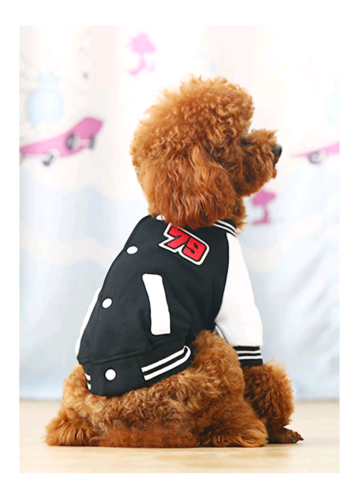 미사용 HOOPET 강아지 옷 79 야구 점퍼 L사이즈 블루, 블랙--6