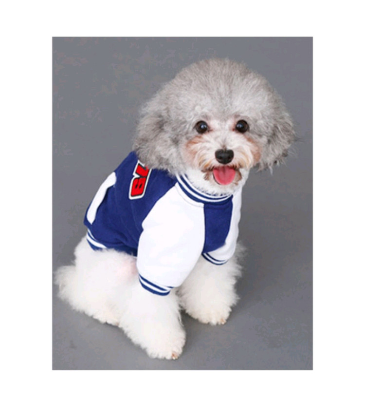 미사용 HOOPET 강아지 옷 79 야구 점퍼 L사이즈 블루, 블랙--7