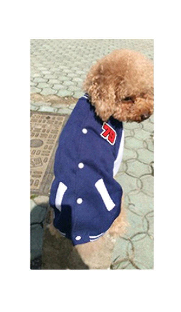 미사용 HOOPET 강아지 옷 79 야구 점퍼 L사이즈 블루, 블랙--8