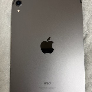 아이패드미니6 256 셀룰러+애플펜슬2 이미지