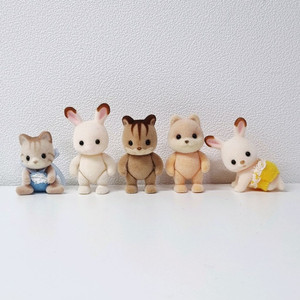 실바니안 아기 5마리 일괄(카라멜독, 시마고양이 등)