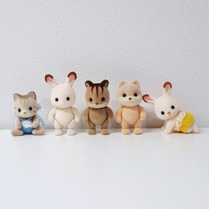 실바니안 아기 5마리 일괄(카라멜독, 시마고양이 등)