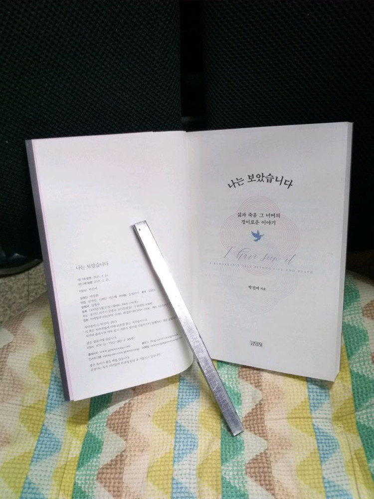 *나는보았습니다-삶과죽음그너머의경이로운이야기--2