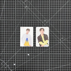 세븐틴 민규 더샘 포카 포토카드 2종 세트 이미지
