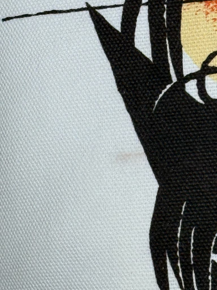 진격의 거인 리바이 한지 리샤잠 쿠션 이미지