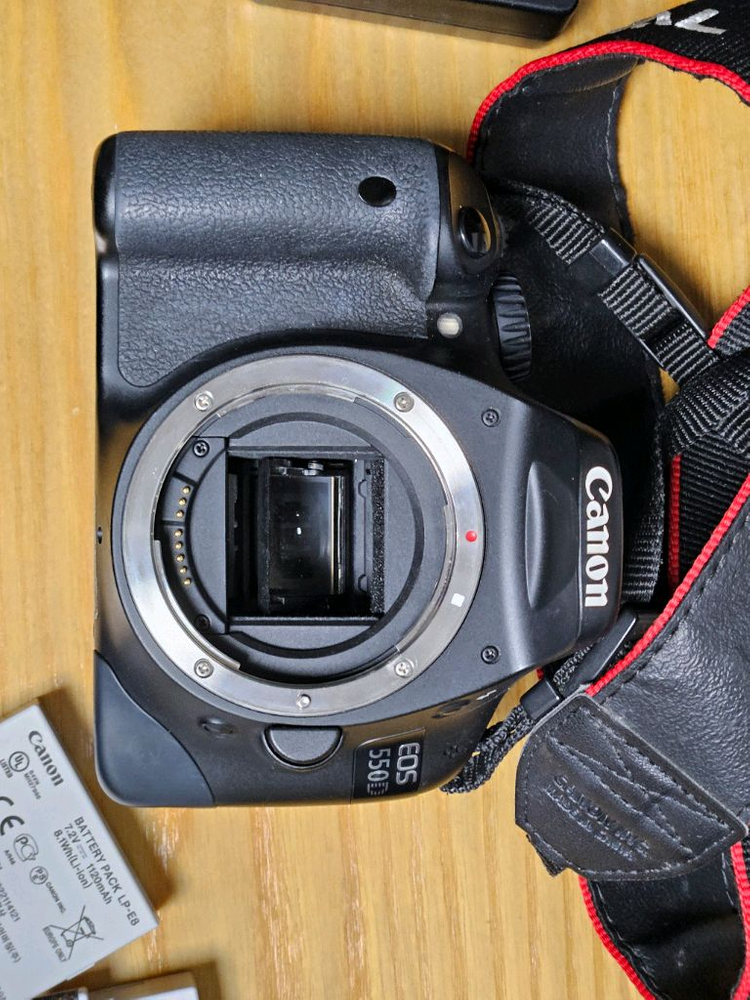 캐논 550d 55-250is 30.4삼식이--1