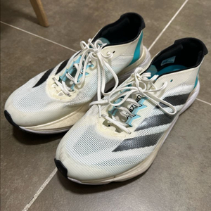 아디다스 아디제로 보스턴 12 275