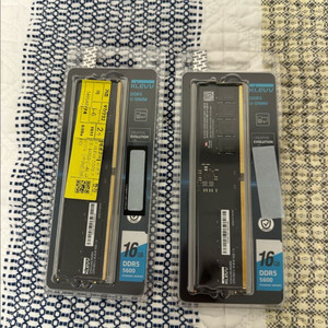 클레브 ddr5 5600 16g 2개