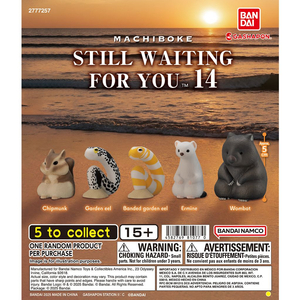 마치보우케 14탄 마치보케 언제오려나 동물 가챠 캡슐토이 다람쥐 웜뱃