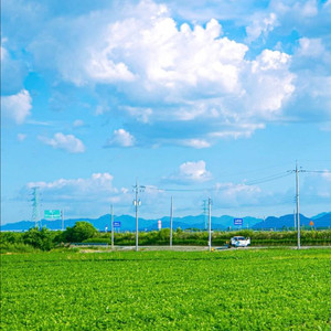 로스트아크 닉네임 이미지