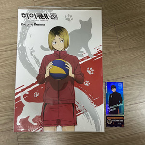 하이큐 10주년 기념전 a3 켄마 포스터 양도