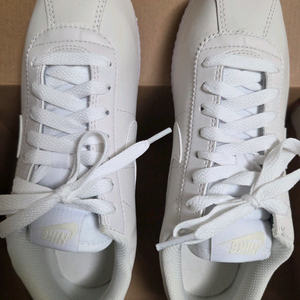 나이키 코르테즈 240