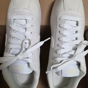 나이키 코르테즈 240