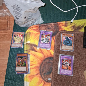 트레이딩 카드 게임 카드 세트