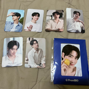 이준혁 엔제리너스 포카+ 프롬바ol오 포카 일괄+ 덤