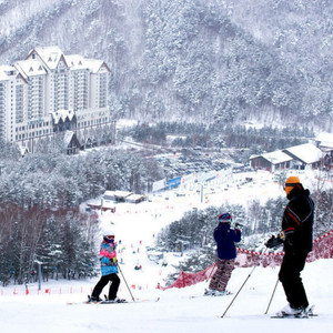 리프트권-장비렌탈~휘닉스파크 웰리힐리 알펜시아 오크밸리 엘리시안강촌 이미지