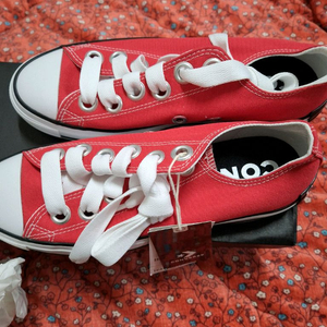 컨버스 왕굽 새제품260